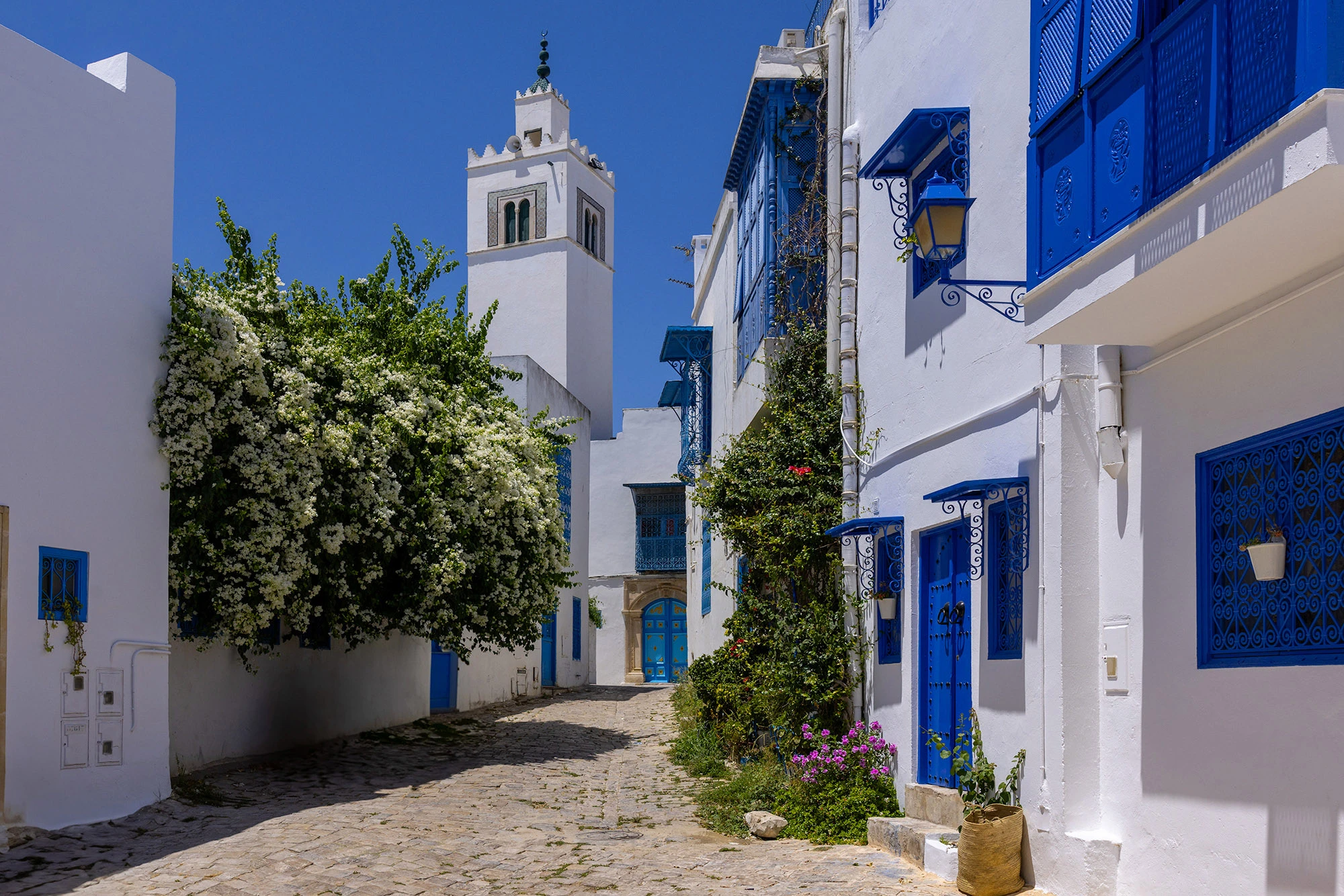Sidi Bou Saïd